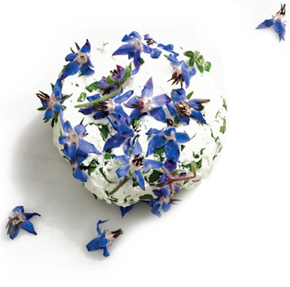 Edible Flowers